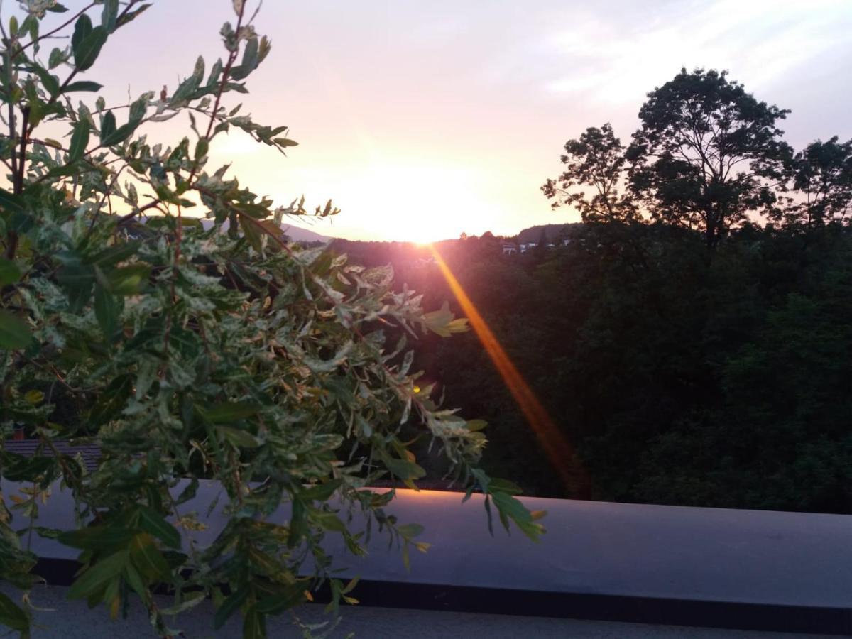 Apartman Japanski Vrt, Centar Vrnjačka Banja Exteriér fotografie