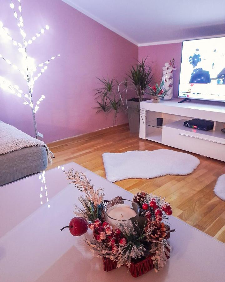 Apartman Japanski Vrt, Centar Vrnjačka Banja Exteriér fotografie