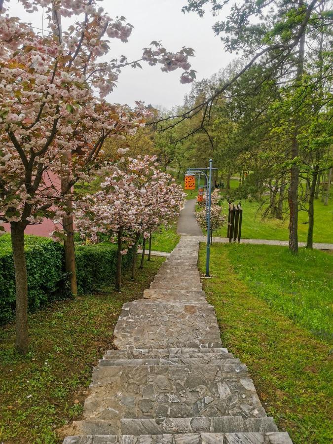 Apartman Japanski Vrt, Centar Vrnjačka Banja Exteriér fotografie