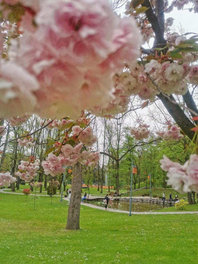 Apartman Japanski Vrt, Centar Vrnjačka Banja Exteriér fotografie